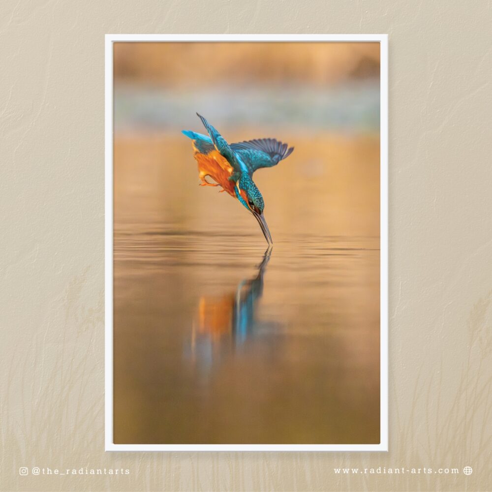 Flash of Blue by Aliasghar Gulamali (Ali Gul)