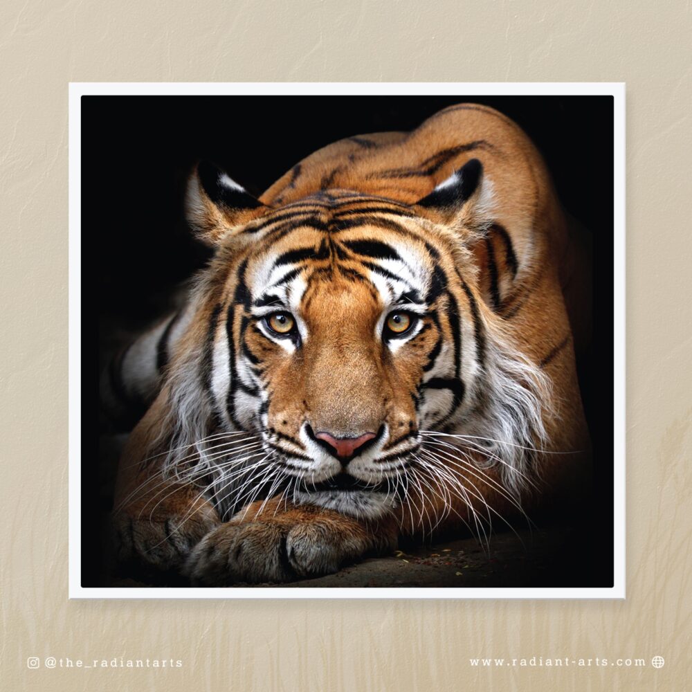 His Majesty by Abdul Kader Kagalwala