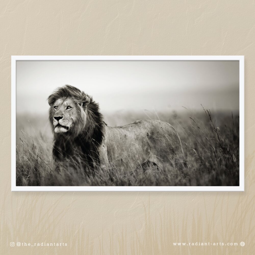 His Majesty by Huzeifa Zakir