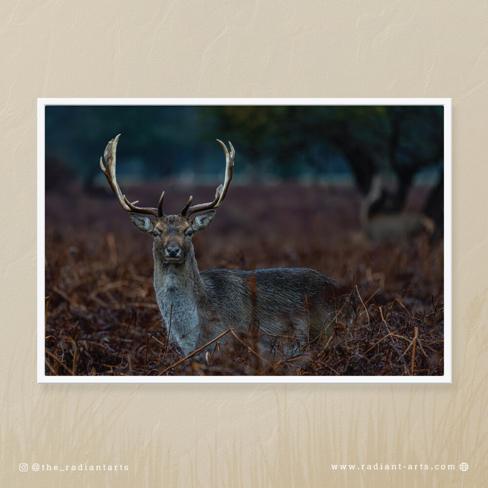 Royal Stag by Aliasghar Gulamali (Ali Gul)