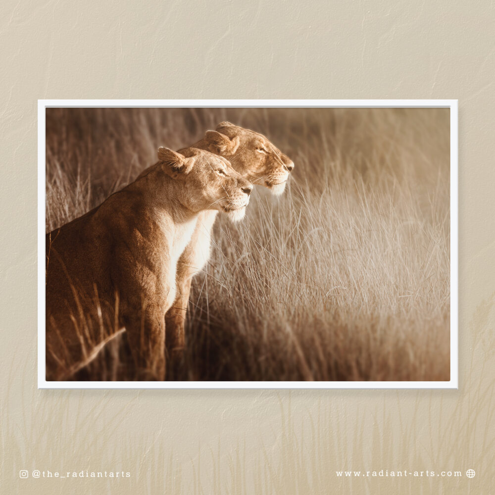 The Stare by Huzeifa Hakimi