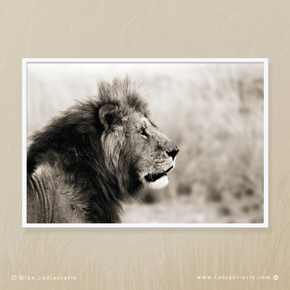 Fierce Gaze by Huzeifa Zakir