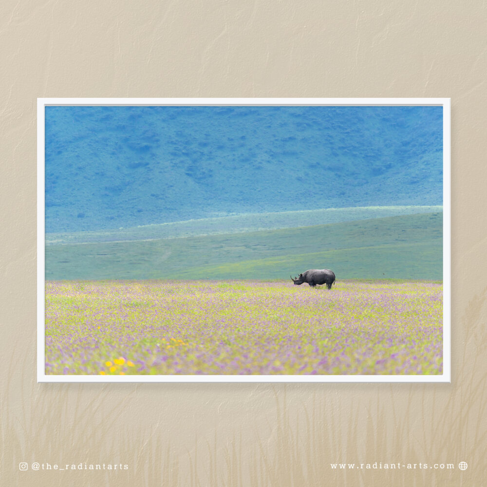 Rhino Ngorongoro by Mehlam Akbarali