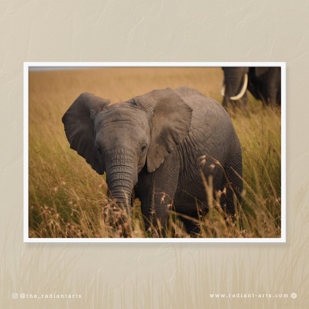 Little Giant of the Savannah by Mufaddal Aamir Hatimi