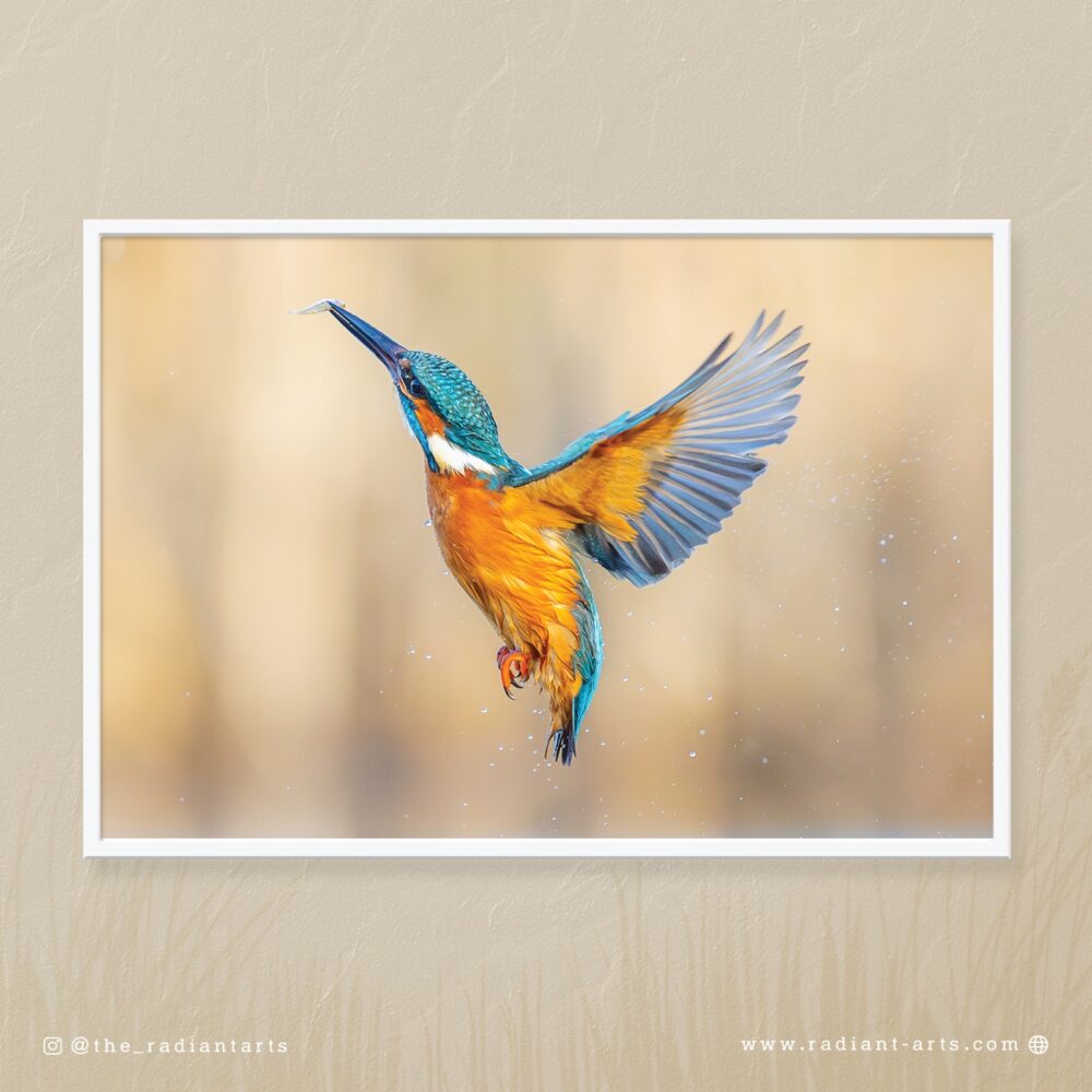 Wings of Precision  by Aliasghar Gulamali (Ali Gul)