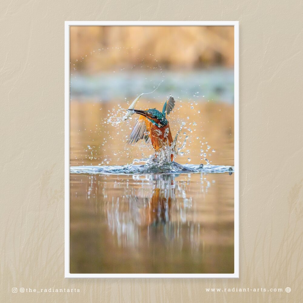 A Blue Flash with a Splash  by Aliasghar Gulamali (Ali Gul)