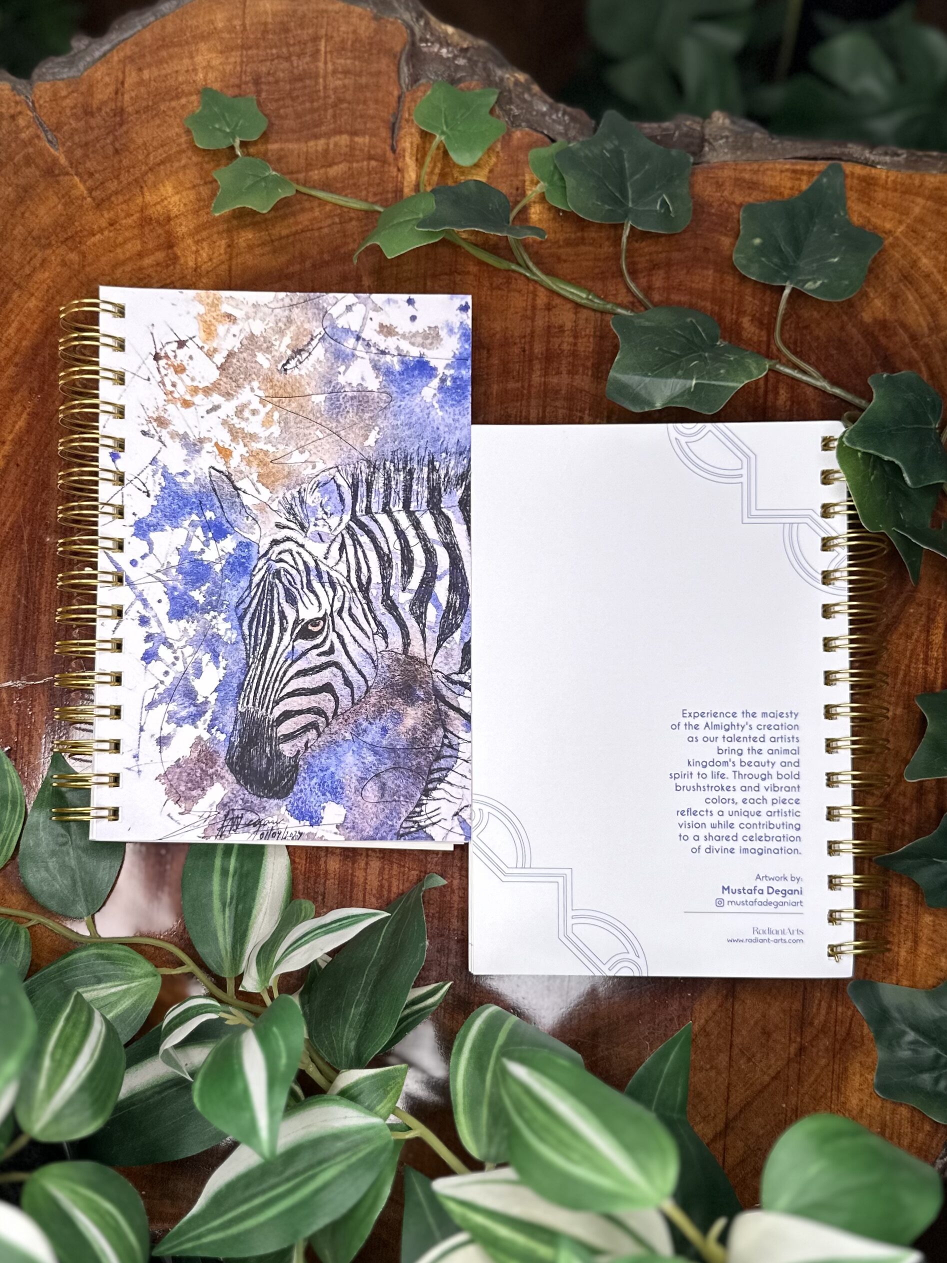 Zebra Fiesta - by Mustafa Degani